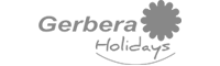 Gerbera Holiday